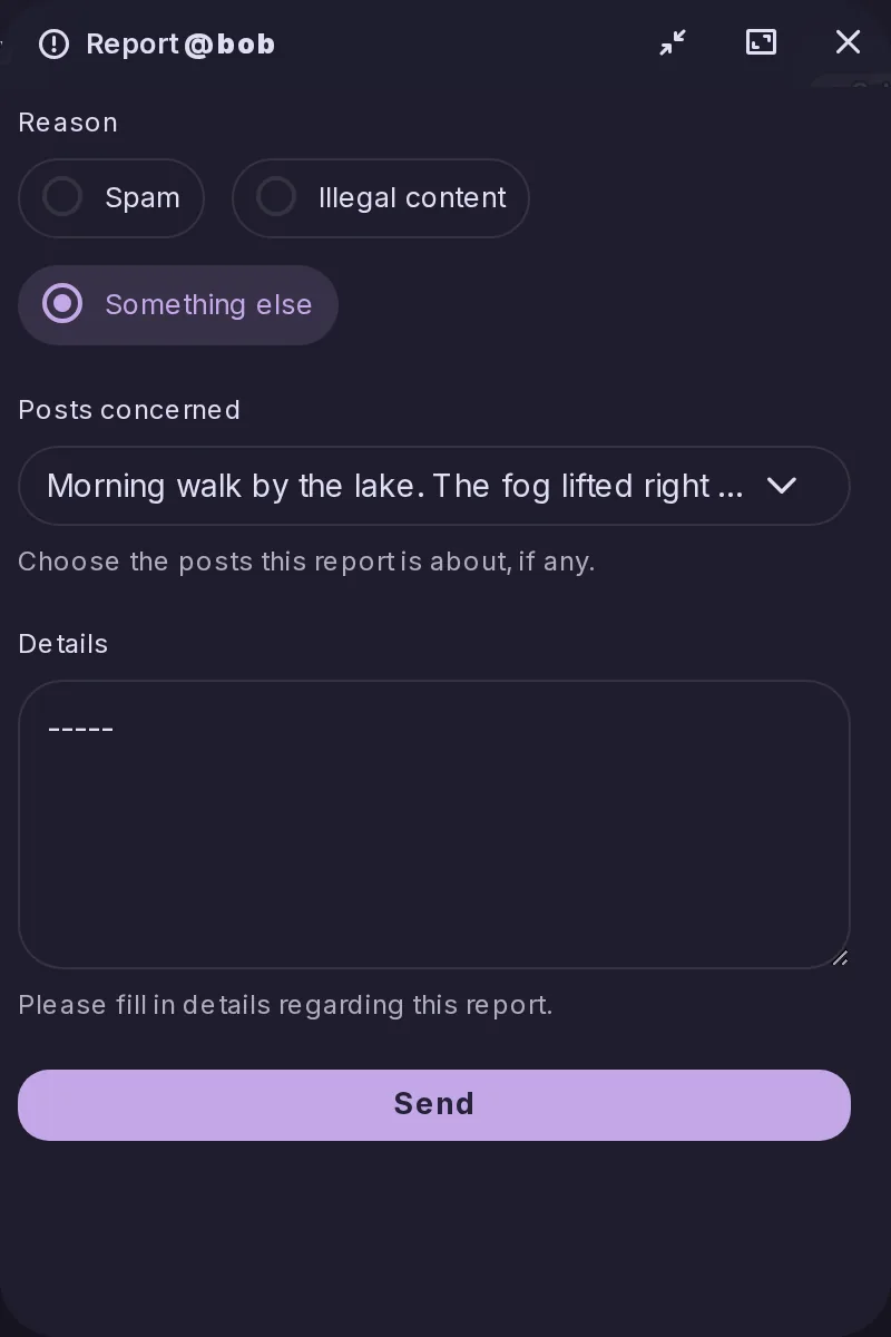 La ventana Reportar de una publicación de Bob: un motivo elegido entre Spam, Contenido ilegal y Otra cosa, las publicaciones afectadas seleccionadas en un selector y un campo de detalles. No se envió nada.